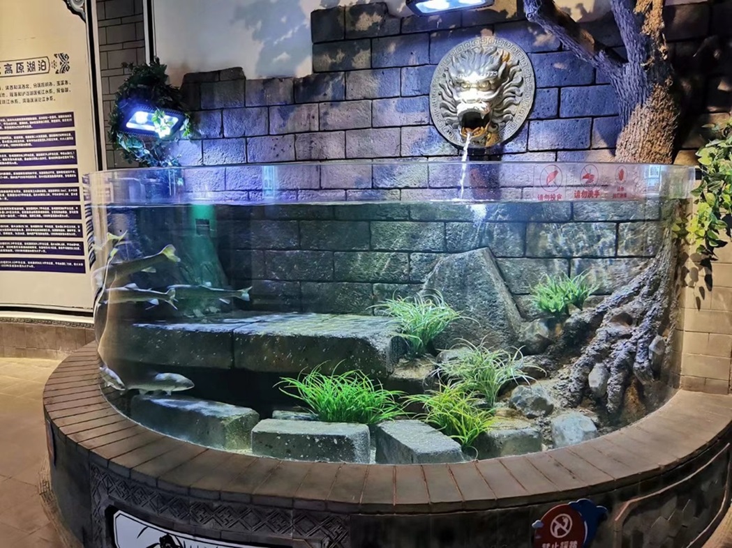 Fish Tank Аквариумный