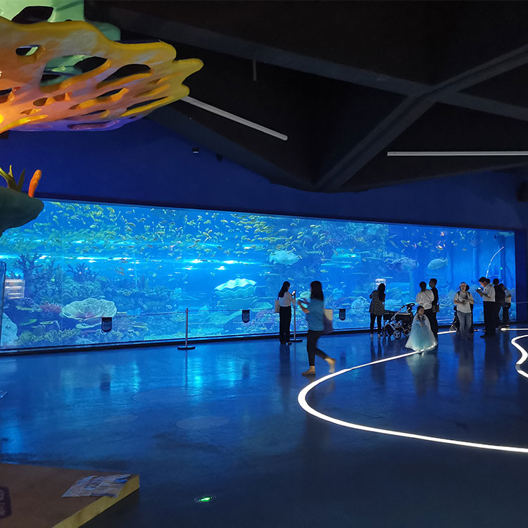 Leyu Lisbon oceanarium explore the ocean world oceanarium Океанариум Лейю в Лиссабоне исследуйте океанариум «Мир океана»
