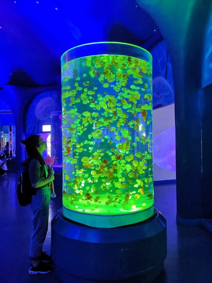 Shanghai Haichang Polar Ocean Park - Leyu Arylic Jellyfish Aquarium Шанхайский парк полярного океана Хайчан - Аквариум с медузами Лейю Арылик