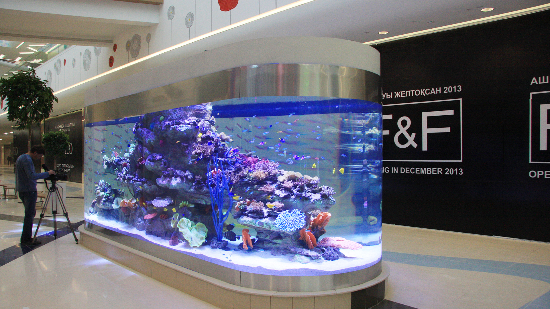 Leyu acrylic aquarium Акриловый аквариум Лейю