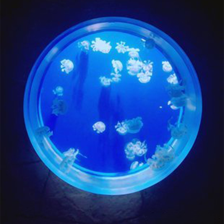 100 gal acrylic aquarium Акриловый аквариум на 100 литров.