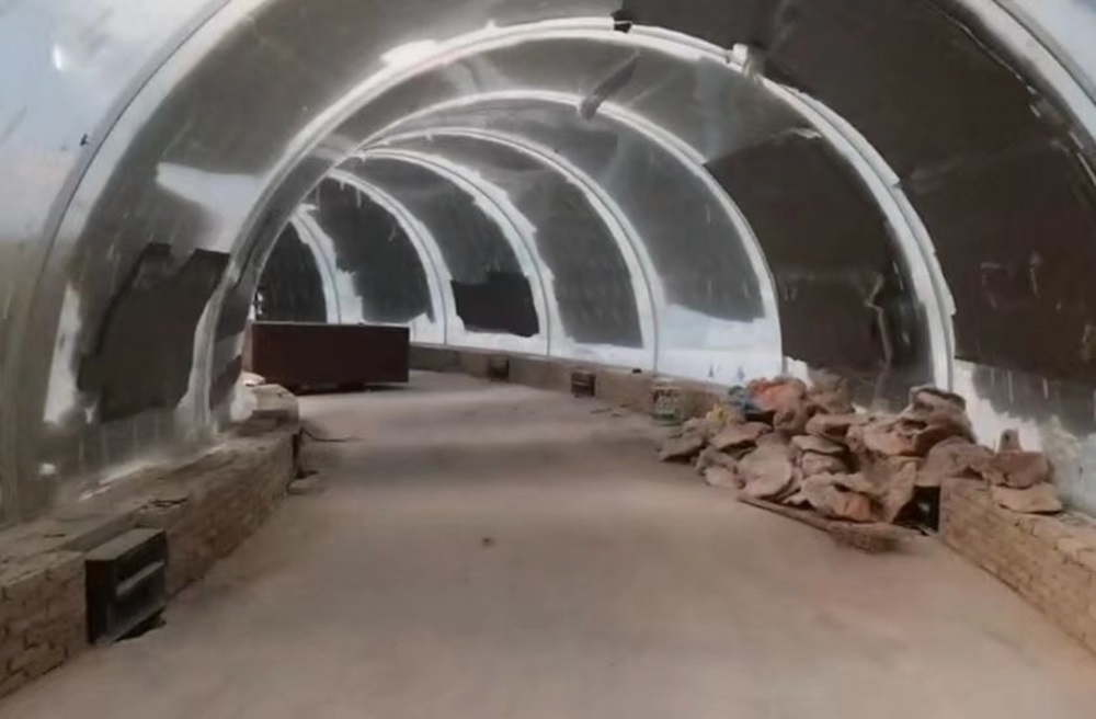 Туннель аквариума Фучжоу Юнтай