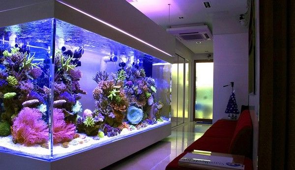 Акриловый аквариум на заказ - LEYU