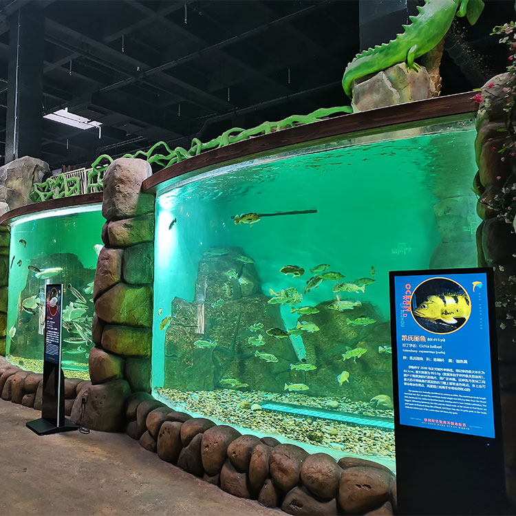 Окно Leyu Arylic Aquarim