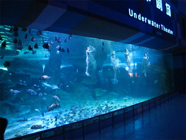 Luxury Design Custom Acrylic View Window For Aquarium Окно обзора роскошного дизайна изготовленное на заказ акриловое для аквариума