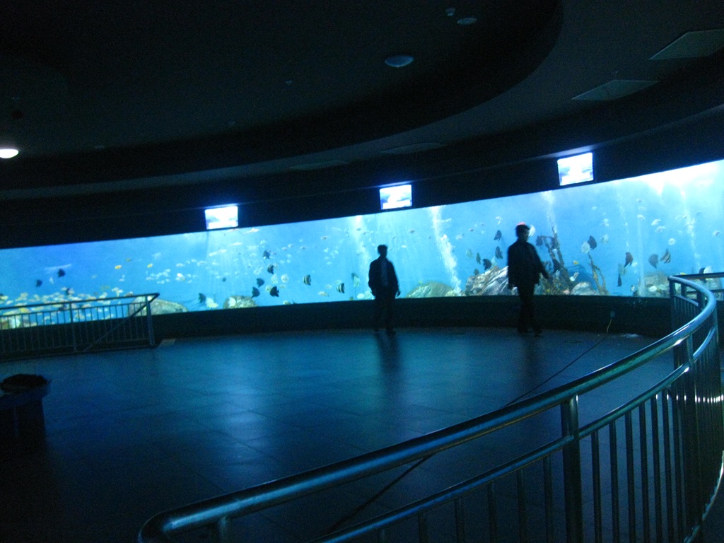 Акриловое окно Leyu Aquariums (4)