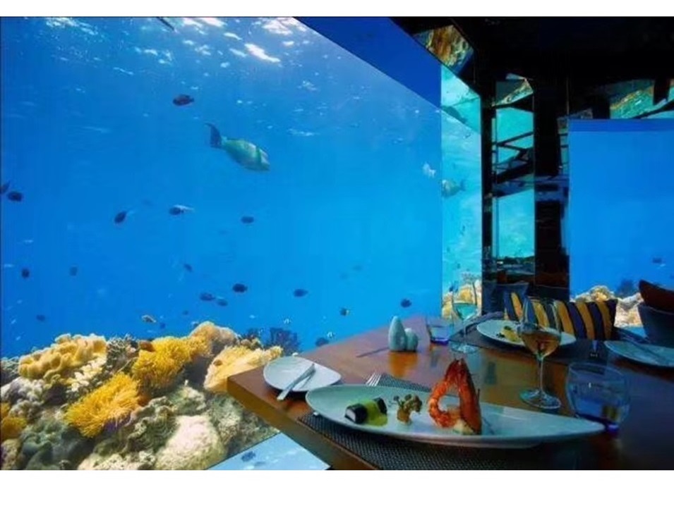 Дали Polar Ocean World - Акриловый аквариум (3)