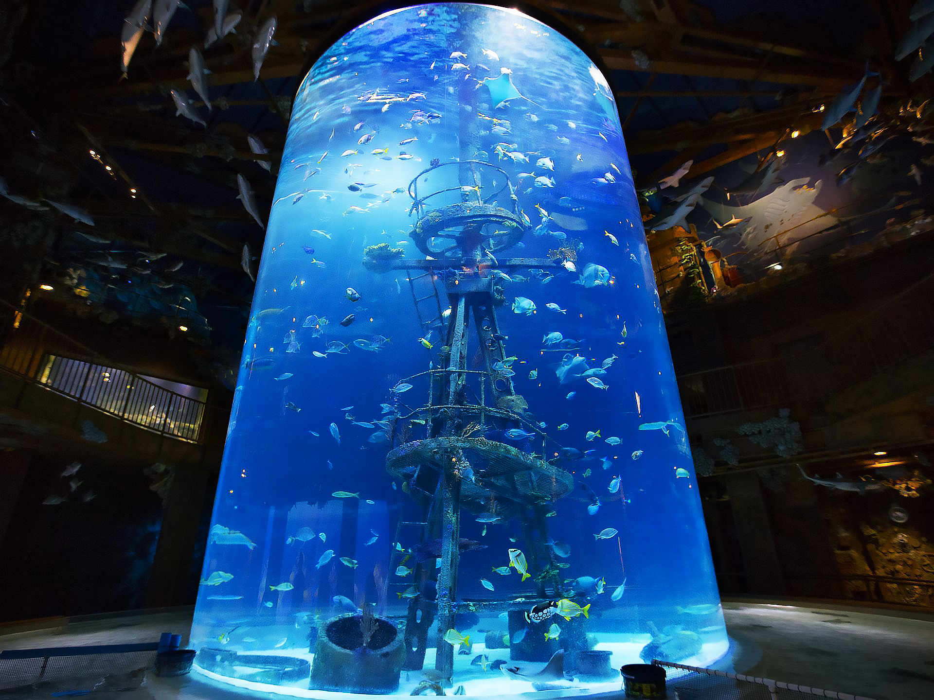 acrylic aquarium акриловый аквариум