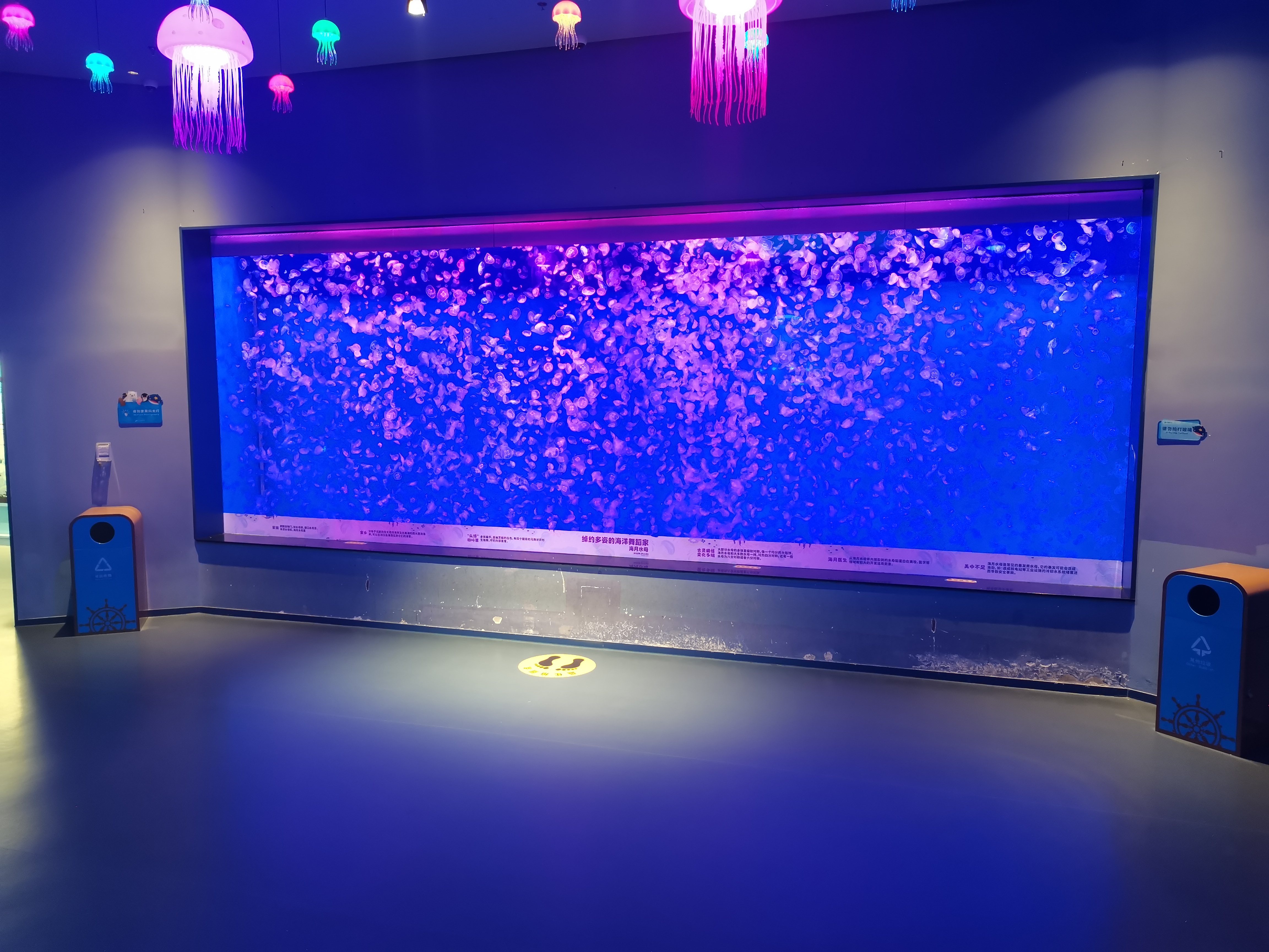 Акриловый оконный аквариум - LEYU ACRYLIC