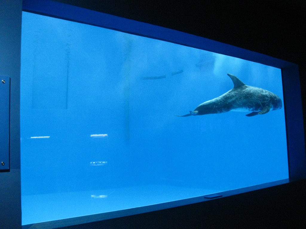 Акриловое окно Leyu Aquariums