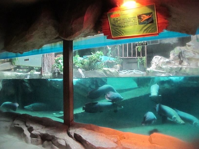 Подводный мир Шаньдун Пэнлай - Leyu Arylic Aquarim