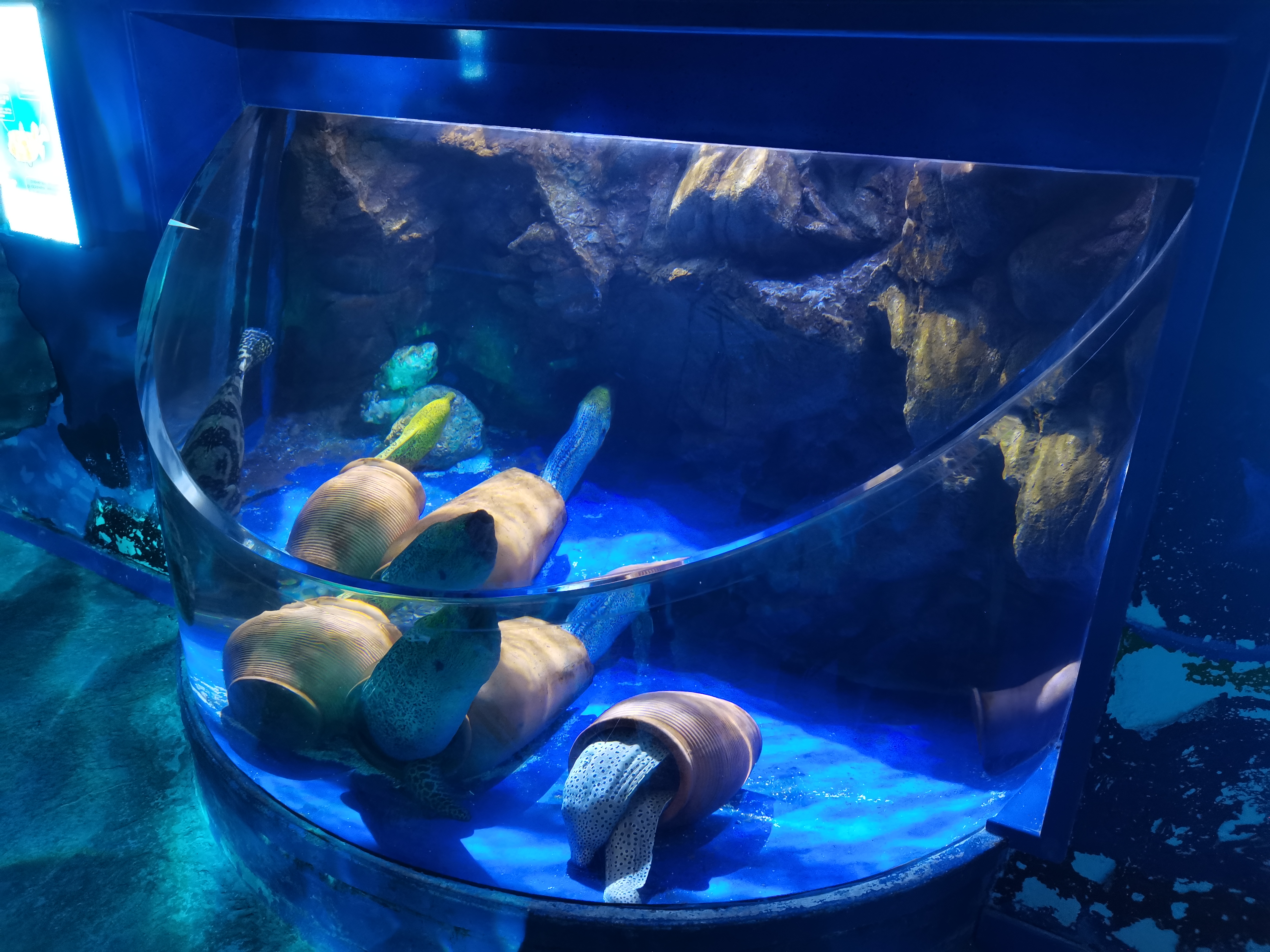 ~!phoenix_varIMG6!~