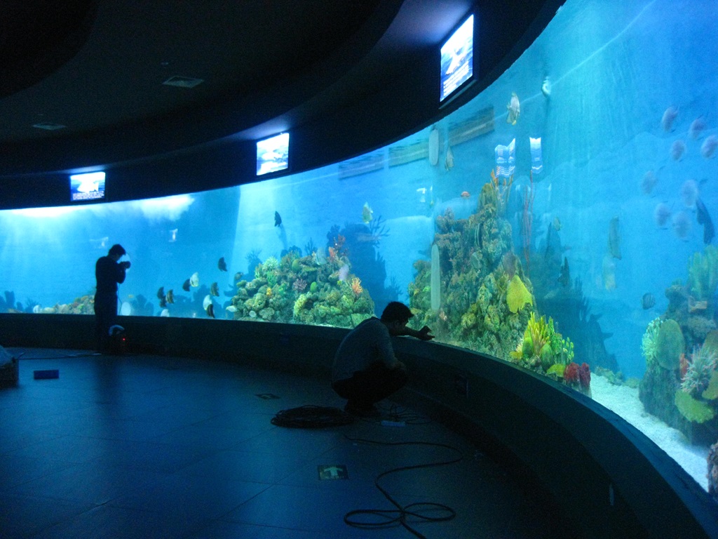 Акриловое окно Leyu Aquariums (3)