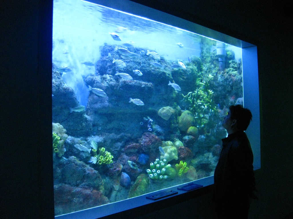 Акриловое окно Leyu Aquariums (2)