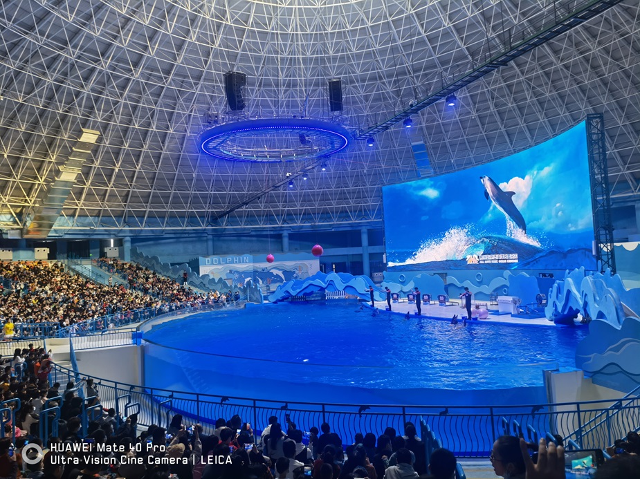 Парк полярного океана Сюйчжоу Улебао - Лэйю (2)