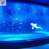 Роскошное дизайнерское акриловое смотровое окно для аквариума -Leyu