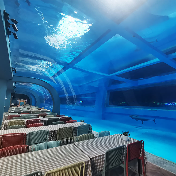 Аквариум из акрилового цилиндра, изготовленный на заказ, нужно обратить внимание на что - Leyu