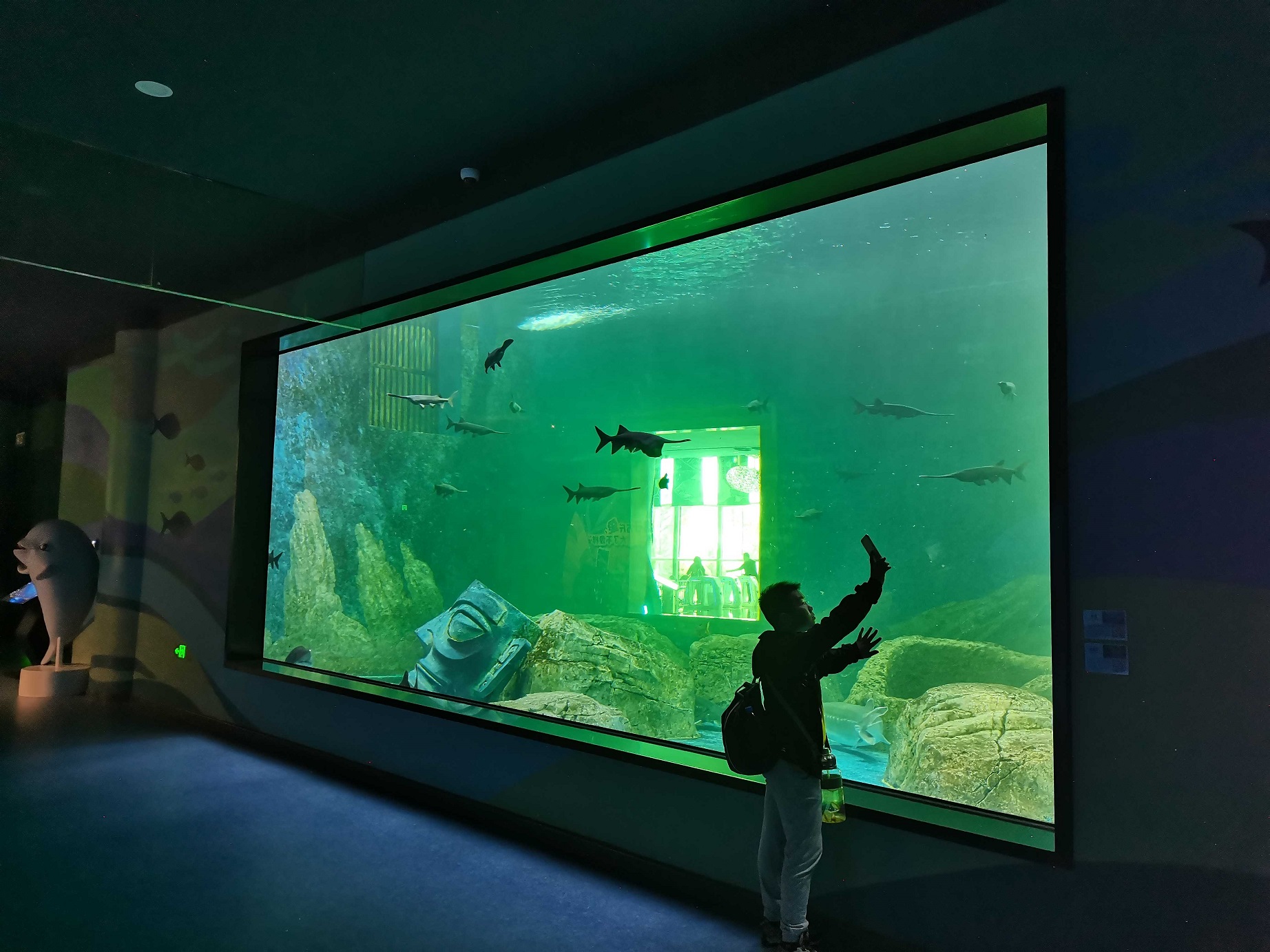 Где находится гостиница Ocean Park - Лею