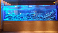 //iprorwxhmmkrpj5p-static.ldycdn.com/cloud/pjBmqKmipmSRploqokojkr/How-to-own-Acrylic-Aquariums-Plastic-Fish-aquariums-Leyu.jpg