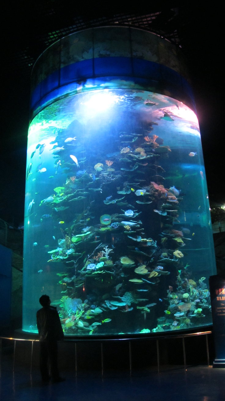 Подводный мир Шаньдун Пэнлай - Leyu Arylic Aquarim
