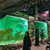 Акриловая фабрика Le Yu приглашает вас осмотреть океанариум Sea World - Leyu