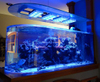 Фабрика акрила Bullet Aquarium специализируется на индивидуальной продукции со сроком годности 20 лет - LEYU