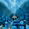 360 Аквариумный Туннель Polar Ocean World, Leyu Professional Custom- Leyu
