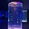 Art of Jellyfish Аквариумы для медуз и живые лампы для аквариума Petjelly, комплект для аквариума с лунными медузами - Leyu