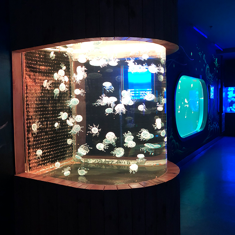 Фабрика акрила Bullet Aquarium специализируется на индивидуальной продукции со сроком годности 20 лет - LEYU