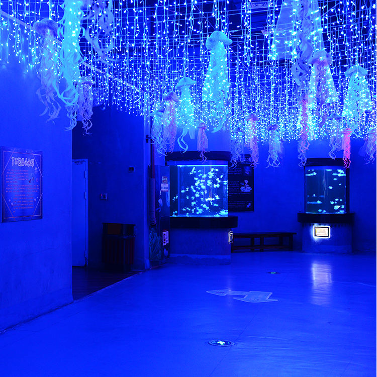 Фабрика акрила Bullet Aquarium специализируется на индивидуальной продукции со сроком годности 20 лет - LEYU