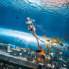 360 Аквариумный Туннель Polar Ocean World, Leyu Professional Custom- Leyu