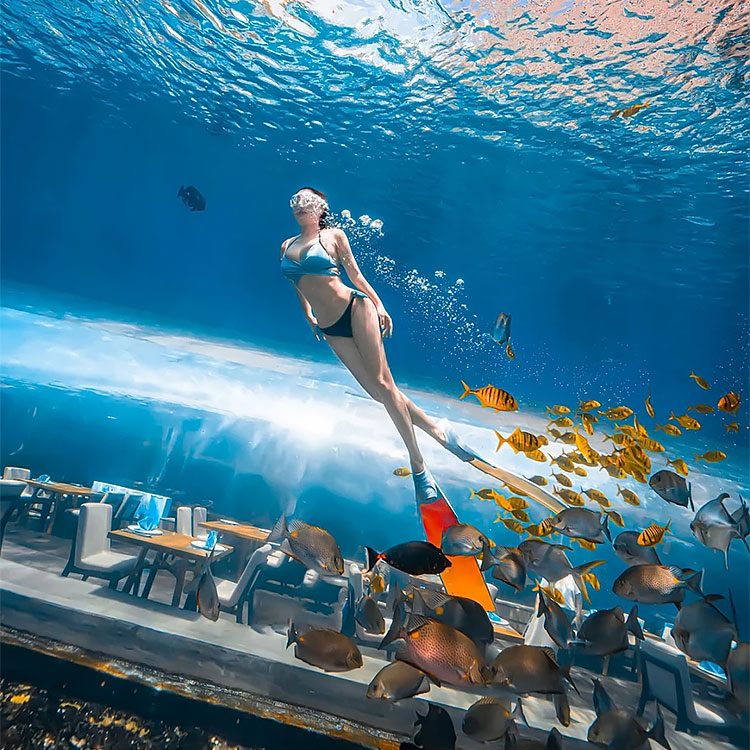 360 Аквариумный Туннель Polar Ocean World, Leyu Professional Custom- Leyu