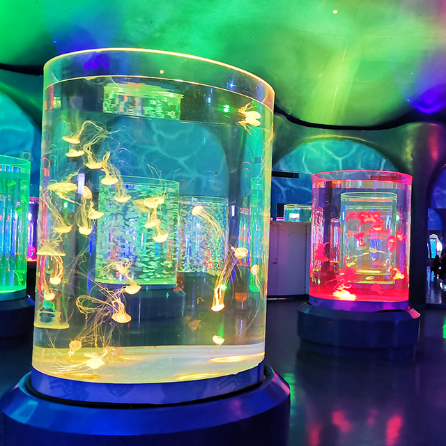 Pet Jellyfish США Pet Jellyfish At Home Аквариум с живыми медузами Аквариум с живыми медузами на продажу - Leyu 