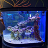 Как мыть акриловые окна на акриловой фабрике Ocean Park-leyu